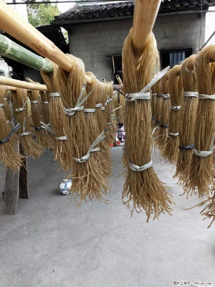 【灌阳正宗红薯粉】美女家里自己做的,干净卫生,假一赔十,价格合理,抢购电话:13737312895 - 美食天地 - 济源生活社区 - 济源28生活网 jiyuan.28life.net