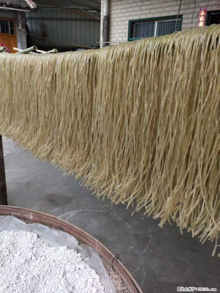 【灌阳正宗红薯粉】美女家里自己做的,干净卫生,假一赔十,价格合理,抢购电话:13737312895 - 美食天地 - 济源生活社区 - 济源28生活网 jiyuan.28life.net