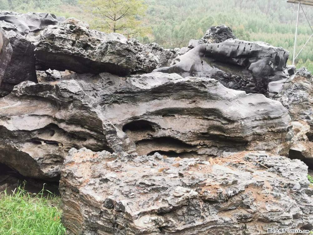 风景石、假山石大量有货，有需要的欢迎联系 - 新手上路 - 济源生活社区 - 济源28生活网 jiyuan.28life.net