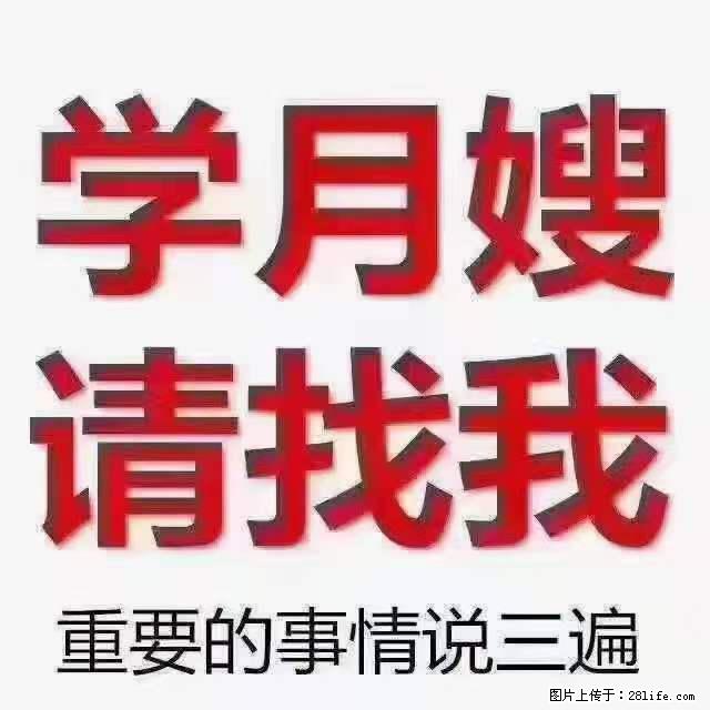 为什么要学习月嫂，育婴师？ - 其他广告 - 广告专区 - 济源分类信息 - 济源28生活网 jiyuan.28life.net