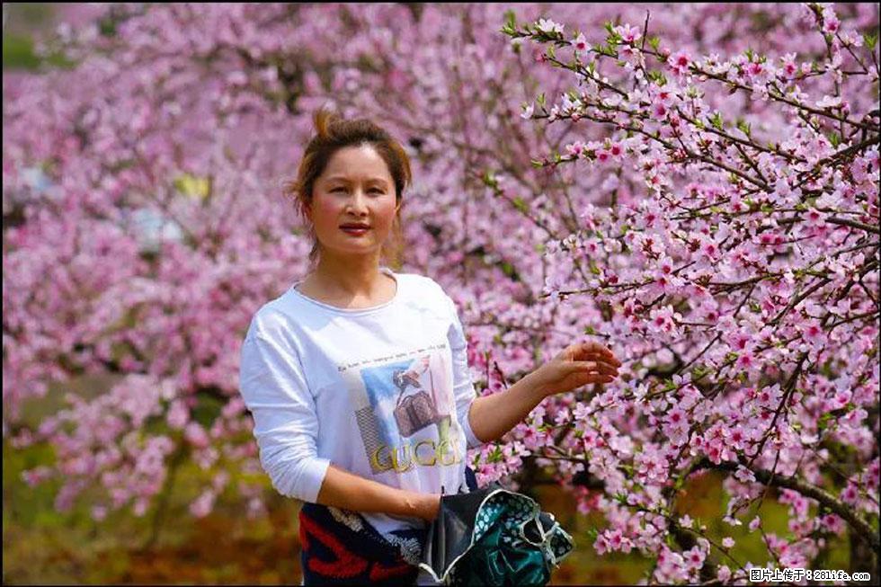 【春天，广西桂林灌阳县向您发出邀请！】官庄村有个醉美的桃花园 - 游山玩水 - 济源生活社区 - 济源28生活网 jiyuan.28life.net