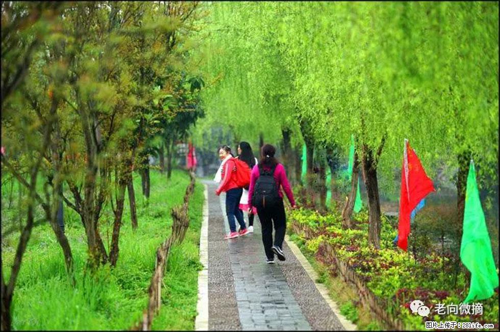 【春天，广西桂林灌阳县向您发出邀请！】江口老街又逢春 - 游山玩水 - 济源生活社区 - 济源28生活网 jiyuan.28life.net
