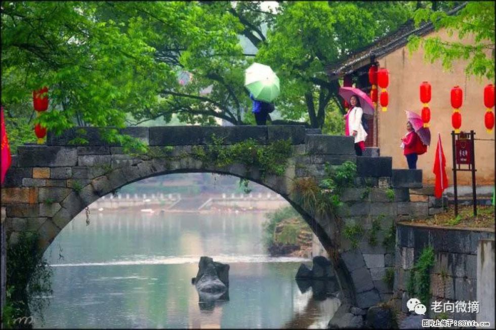 【春天，广西桂林灌阳县向您发出邀请！】江口老街又逢春 - 游山玩水 - 济源生活社区 - 济源28生活网 jiyuan.28life.net