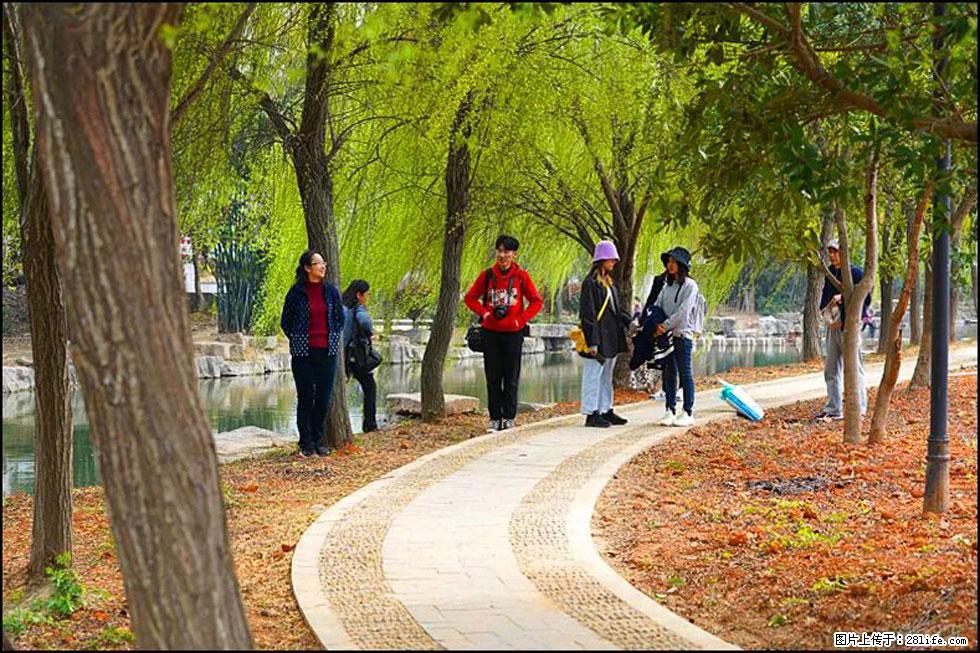 【春天，广西桂林灌阳县向您发出邀请！】江口老街又逢春 - 游山玩水 - 济源生活社区 - 济源28生活网 jiyuan.28life.net