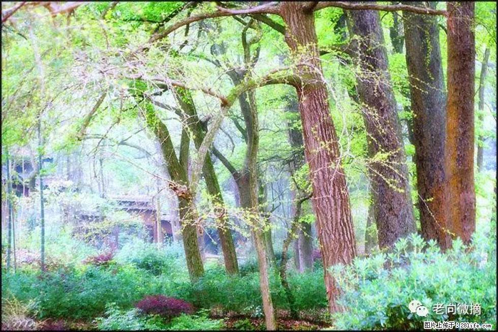 【春天，广西桂林灌阳县向您发出邀请！】在小龙村与春天约会 - 游山玩水 - 济源生活社区 - 济源28生活网 jiyuan.28life.net