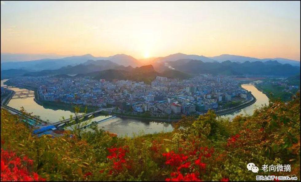 【春天，广西桂林灌阳县向您发出邀请！】登麒麟山，相约映山红 - 游山玩水 - 济源生活社区 - 济源28生活网 jiyuan.28life.net