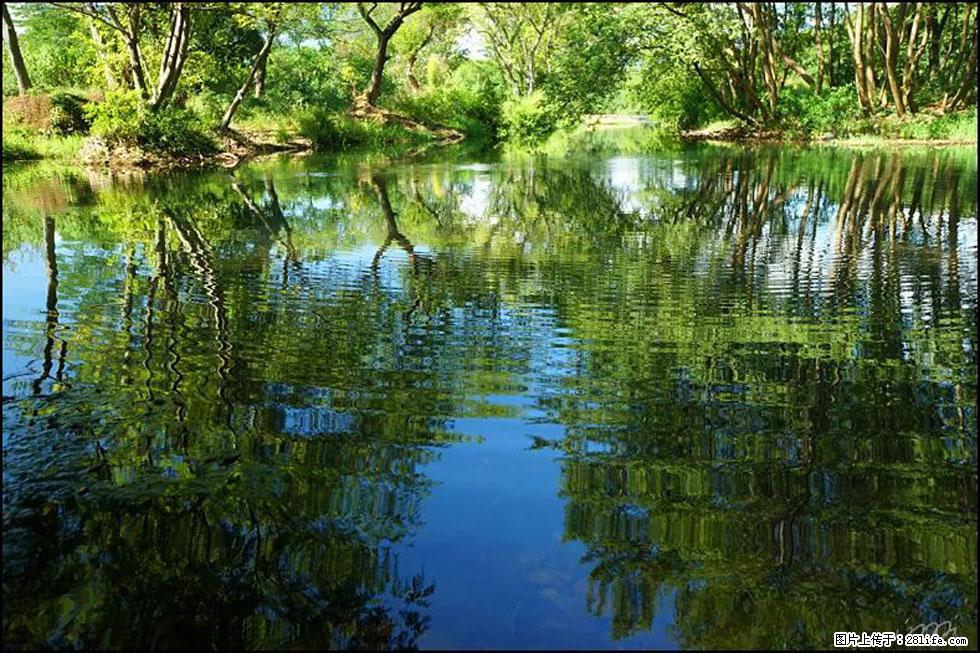 【春天，广西桂林灌阳县向您发出邀请！】熊家寨湿地公园 - 游山玩水 - 济源生活社区 - 济源28生活网 jiyuan.28life.net