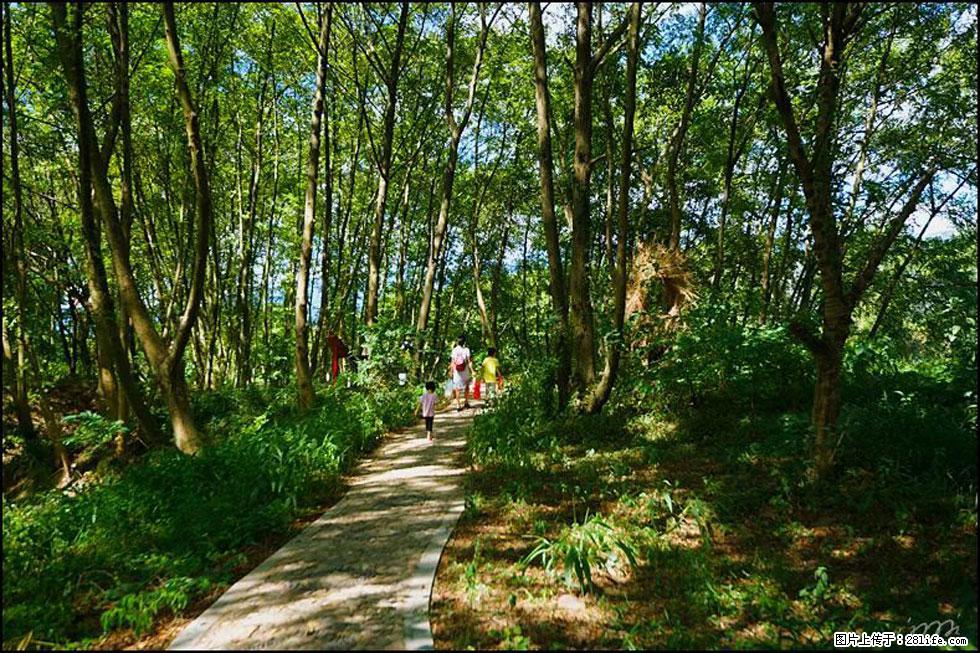 【春天，广西桂林灌阳县向您发出邀请！】熊家寨湿地公园 - 游山玩水 - 济源生活社区 - 济源28生活网 jiyuan.28life.net