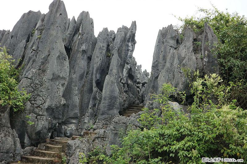 桂林旅游名城景点：灌阳文市石林 - 游山玩水 - 济源生活社区 - 济源28生活网 jiyuan.28life.net