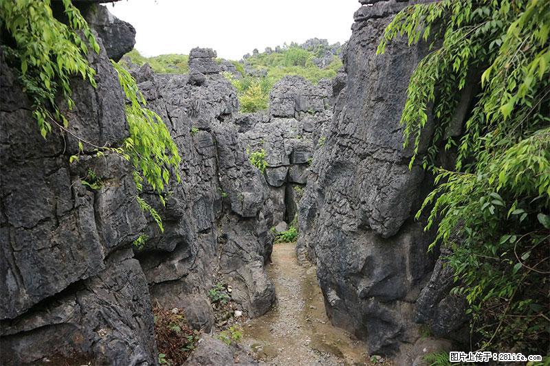 桂林旅游名城景点：灌阳文市石林 - 游山玩水 - 济源生活社区 - 济源28生活网 jiyuan.28life.net