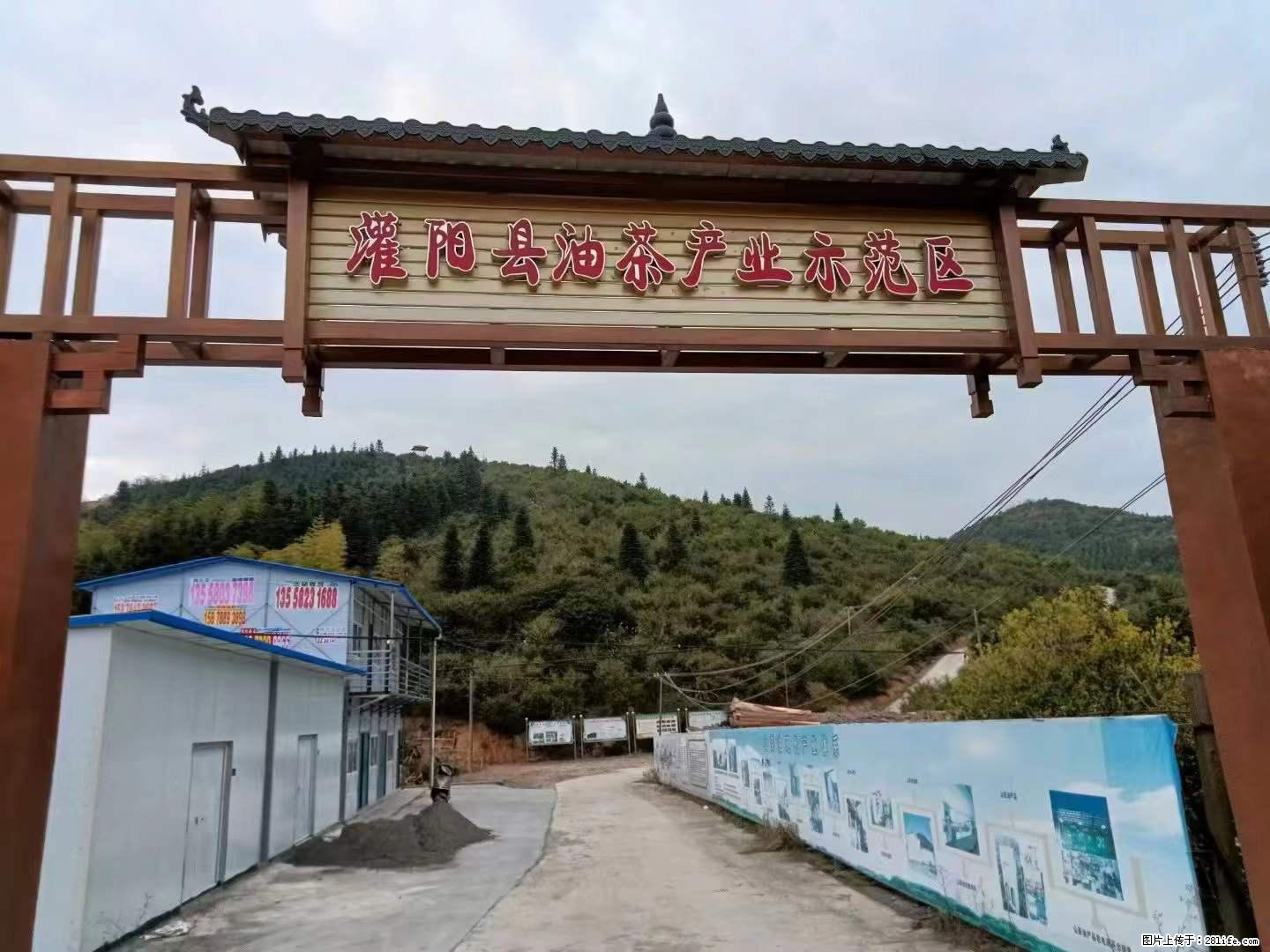 【灌阳县油茶产业示范区】一个有着充实的精神生活的人，对待身外之物自会有一种淡泊的态度 - 土特产 - 饮食特产 - 济源分类信息 - 济源28生活网 jiyuan.28life.net