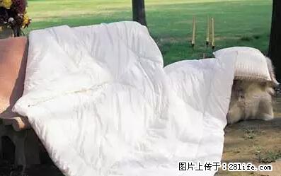 被子有异味？只要这样做，比晒太阳还强100倍！ - 家居生活 - 济源生活社区 - 济源28生活网 jiyuan.28life.net