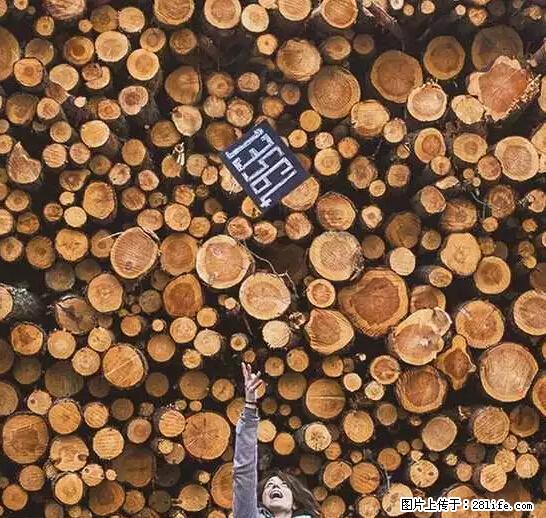 辞掉工作周游世界？现在他们在洗厕所…… - 游山玩水 - 济源生活社区 - 济源28生活网 jiyuan.28life.net