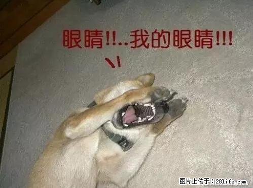 笑癫了！一女的怀孕三年未生，他终于忍不住了... - 娱乐八卦 - 济源生活社区 - 济源28生活网 jiyuan.28life.net
