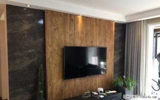 建业壹号城邦豪华装两室 全套家具家电 拎包入住 - 济源28生活网 jiyuan.28life.net