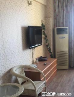 建业新天地小高层 精装一室 温馨小屋拎包入住 - 济源28生活网 jiyuan.28life.net
