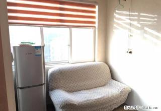 时代朝南独立一室一厅精装全配，需要抓紧联系我 - 济源28生活网 jiyuan.28life.net