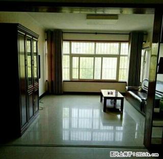 周园路 大张附近 精装三室 家具家电齐全 - 济源28生活网 jiyuan.28life.net