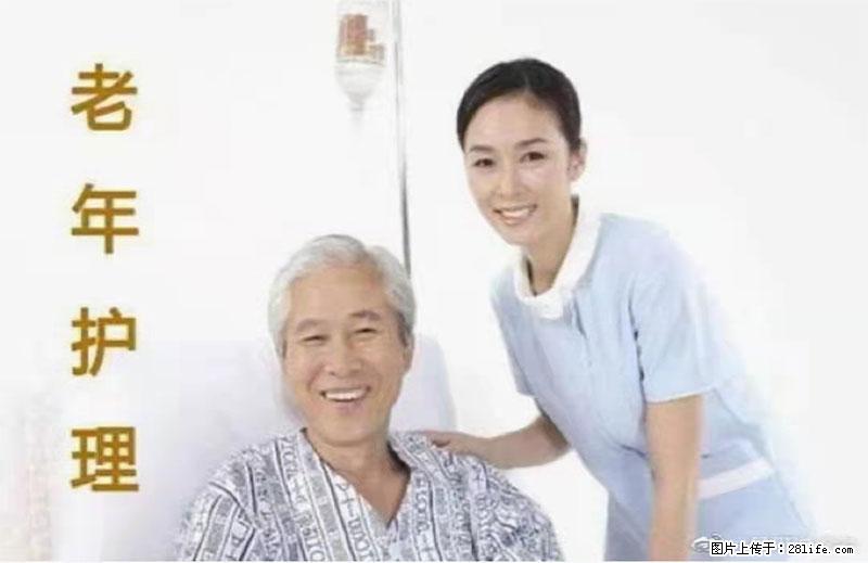 上海国企养老院，星级酒店环境，招聘养老护工 - 职场交流 - 济源生活社区 - 济源28生活网 jiyuan.28life.net