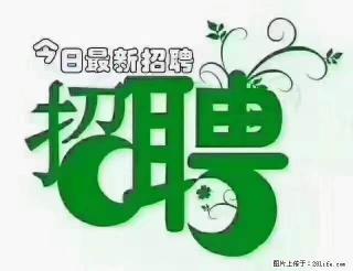 【招聘摄像师】待遇：试用期6000元/月，转正7000元/月+五险一金+餐补+节日福利+奖金 - 济源28生活网 jiyuan.28life.net