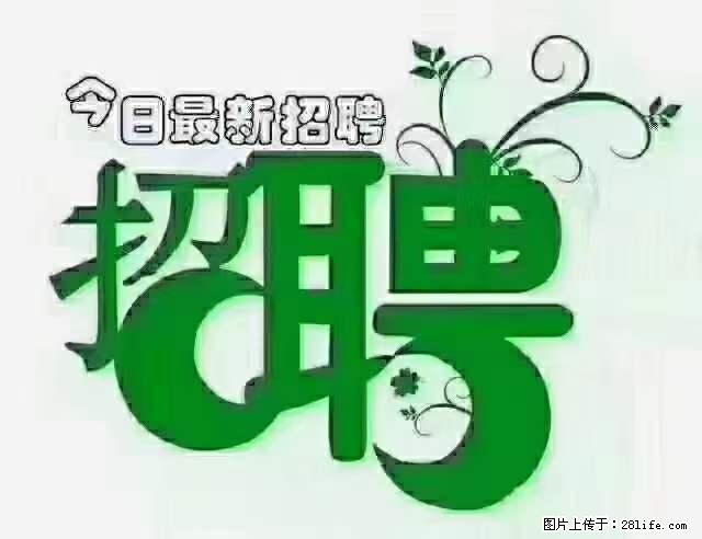 上海隔离酒店招人：55岁以下 男女不限 - 职场交流 - 济源生活社区 - 济源28生活网 jiyuan.28life.net