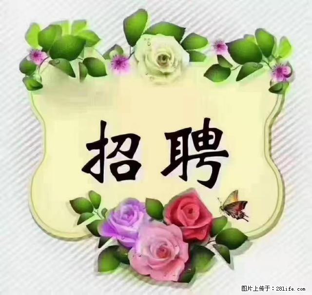 【招聘】住家育儿嫂，上户日期：4月4日，工作地址：上海 黄浦区 - 职场交流 - 济源生活社区 - 济源28生活网 jiyuan.28life.net