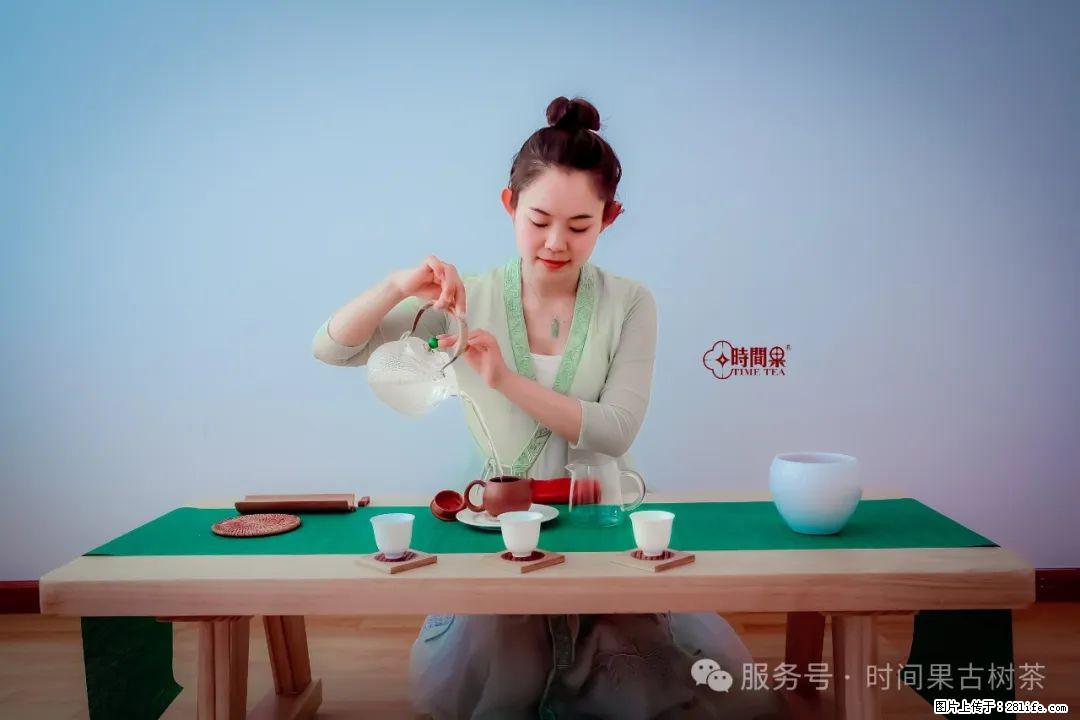 时间果百年古树龙珠普洱生茶 - 购物交流 - 济源生活社区 - 济源28生活网 jiyuan.28life.net