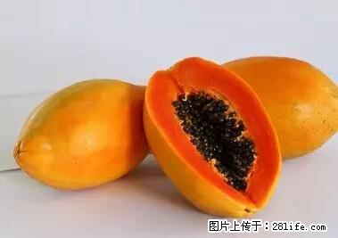 晕车、脚气、牙齿变黄、皮肤粗糙？学会这些三分钟搞定！ - 济源生活资讯 - 济源28生活网 jiyuan.28life.net