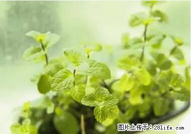 晕车、脚气、牙齿变黄、皮肤粗糙？学会这些三分钟搞定！ - 济源生活资讯 - 济源28生活网 jiyuan.28life.net