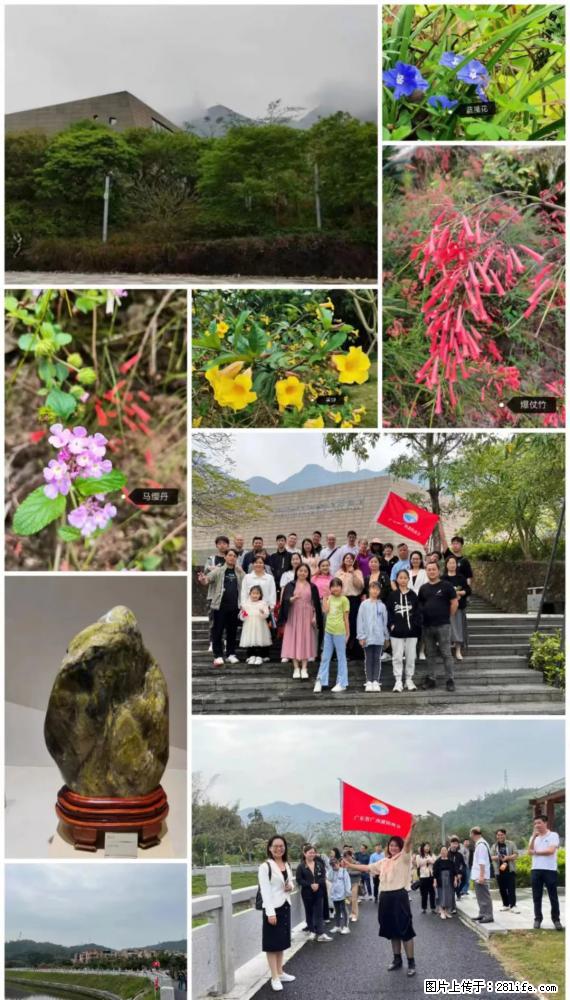 “粤灌文化 美好生活”油茶文化主题活动在广东深圳成功举办 - 济源生活资讯 - 济源28生活网 jiyuan.28life.net