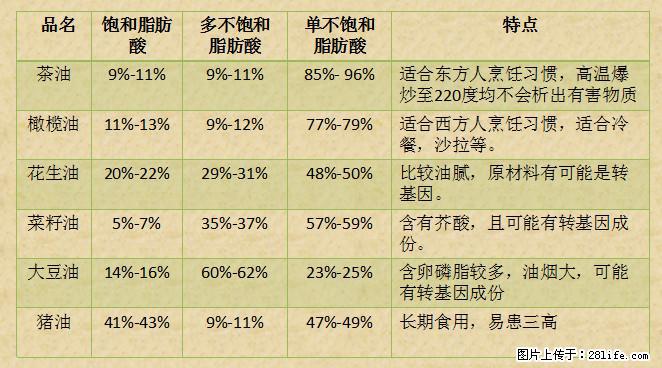 揭秘茶油的5大核心营养成分！被称为人体健康的“守护盾”！ - 济源生活资讯 - 济源28生活网 jiyuan.28life.net
