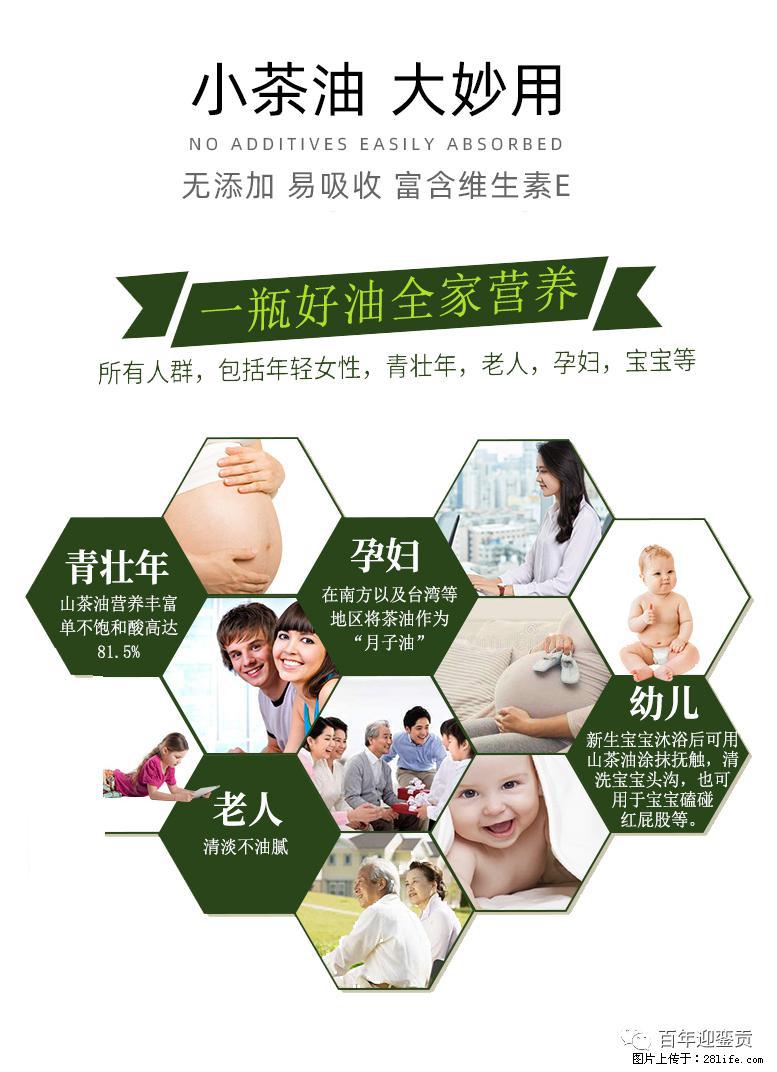 世界没有真相，只有认知，最好的食用油是中国的山茶油！ - 济源生活资讯 - 济源28生活网 jiyuan.28life.net
