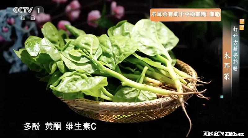比牛奶补钙还厉害！凉血解毒、稳血糖...这菜冬天必吃，很多人却当草 - 济源生活资讯 - 济源28生活网 jiyuan.28life.net
