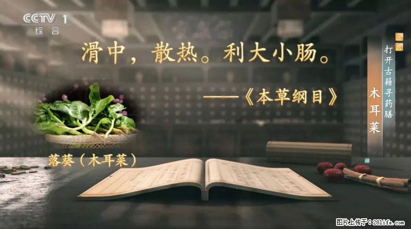 比牛奶补钙还厉害！凉血解毒、稳血糖...这菜冬天必吃，很多人却当草 - 济源生活资讯 - 济源28生活网 jiyuan.28life.net
