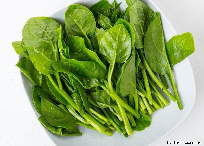 这些蔬菜是“天然钙片”，这6种被医生重点推荐 - 济源生活资讯 - 济源28生活网 jiyuan.28life.net