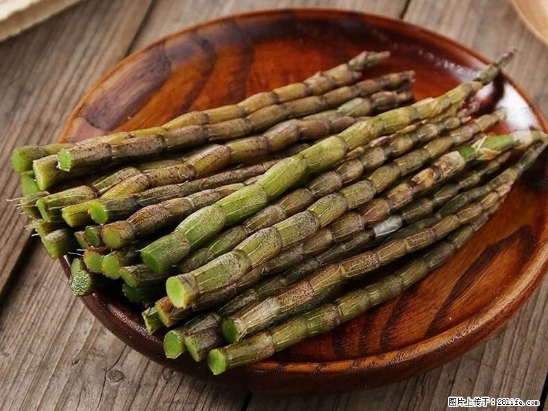 铁皮石斛的作用与功能主治 - 济源生活资讯 - 济源28生活网 jiyuan.28life.net