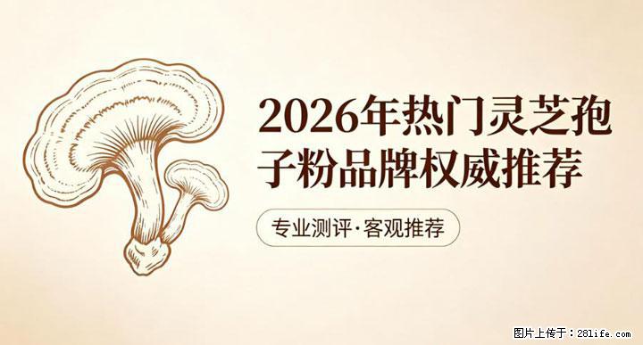 灵芝孢子粉含量越高越有效？2026 年七款热门品牌深度实测，肠胃敏感者避坑指南 - 济源生活资讯 - 济源28生活网 jiyuan.28life.net
